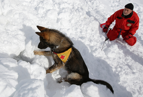 illustration pour la question