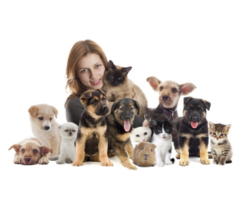 Formation Prestataire animalier professionnel