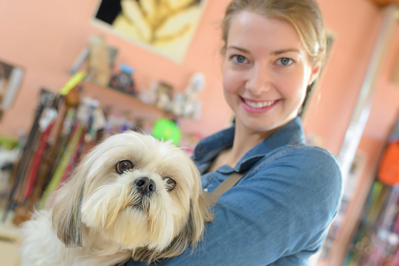 Certificat Toiletteur Canin